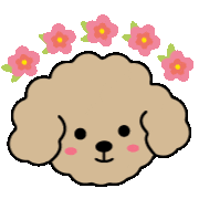 Poodle 花 Sticker