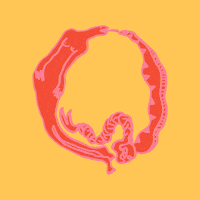 gizemoktay illustration snake feminism mythology GIF