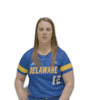 dance softball Sticker by Delaware Blue Hens