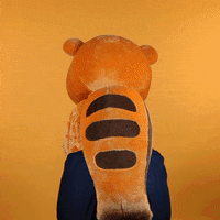 bear flowers GIF by OBI Baumarkt