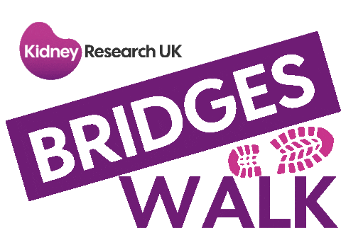 Charity Kidney Sticker by PyneDesign