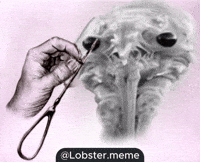 Lobster Lobotomy GIF