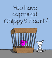 GIF by Chippy the Dog