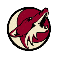 arizona coyotes GIF by imoji