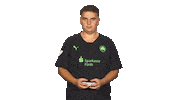 Fürth Elfenomeno Sticker by Bundesliga