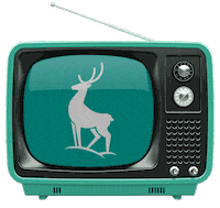 christmas snow Sticker by Borjomi