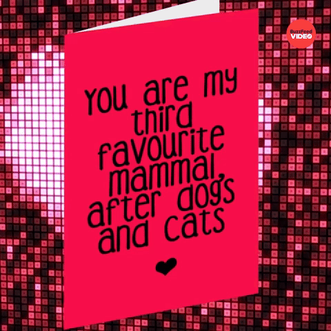 You're My Third Favorite Mammal 