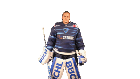 ercingolstadt giphyupload hello hockey hallo Sticker