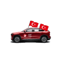 Togg2025 futbol türkiye milli takım maç Sticker