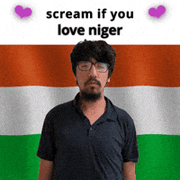 Niger Flag Ne GIF
