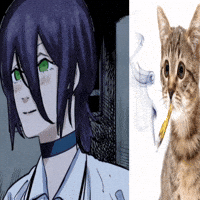 Cat Smoke GIF