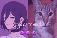 Cat GIF