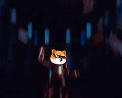 Party Win GIF by Baby Doge Coin