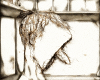 Turbine GIF by Alex Boya