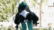 NSURiverHawks ok thumbs up university rowdy GIF