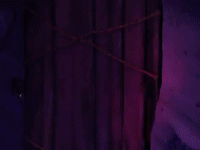 season 3 spongebob b.c. GIF by SpongeBob SquarePants