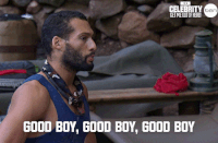 imacelebrityau GIF by I'm A Celebrity... Get Me Out Of Here! Australia