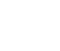 Celebrate New Year Sticker