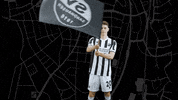 Svs1916 GIF by SV Sandhausen