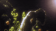 Free GIF by Raissa