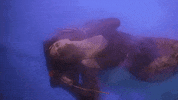 Free GIF by Raissa