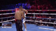 toprank fight boxing fighting espn GIF