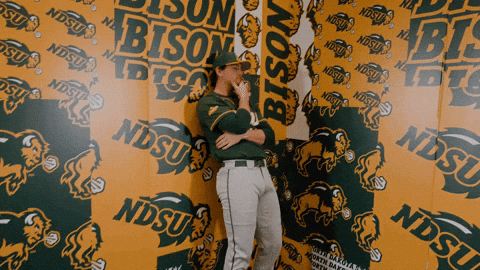 Baseball Bison GIF by NDSU Athletics