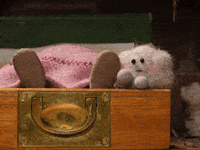 tweedyandfluff love cat cute dog GIF