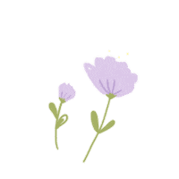 carolitaro nature flowers spring handmade Sticker