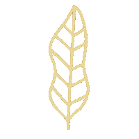 Flowers Flores Sticker