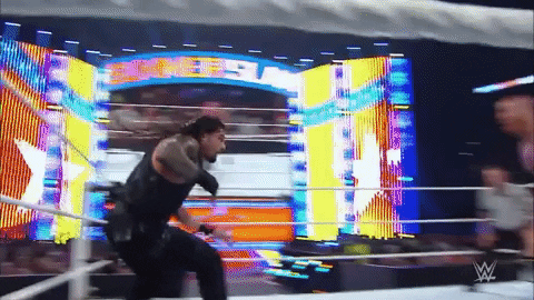 Roman Reigns Wrestling GIF by WWE