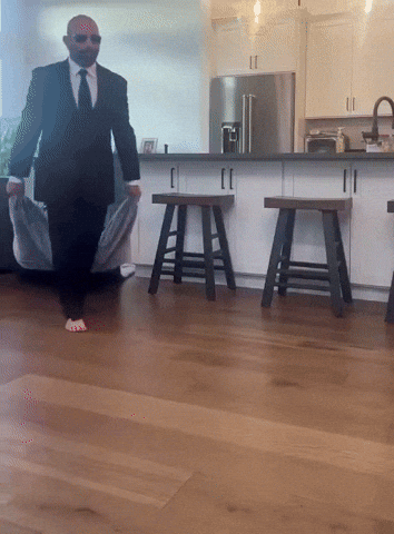 paolog67 giphyupload dog king carpet GIF
