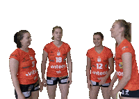 Team Sticker by NUCVolleyball