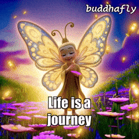 Fire Joy GIF by BuddhaFlyJourney
