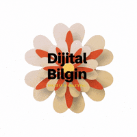Dijitalbilgin logo marketing circle rocket GIF