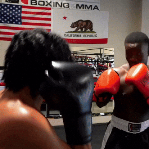 Fight Knockout GIF