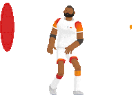 Rugby World Cup Japan Sticker by Mastercard