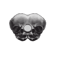 FLORALARTFANCY halloween vintage skull victorian Sticker