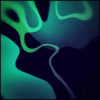 gif artist teal GIF by Erica Anderson