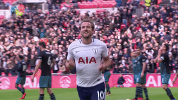 london football GIF by Tottenham Hotspur