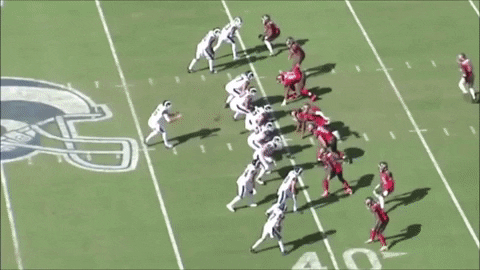 DH82 giphygifmaker buccaneers shaqbarrett GIF