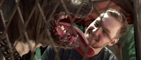 Nothing You Can Do To Me GIF by Stick To Your Guns