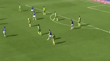 cartoleiros premier league everton james rodriguez richarlison GIF