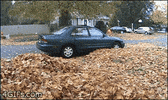 prank will GIF