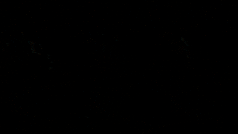 emmayentertainment giphyupload love funny smile GIF