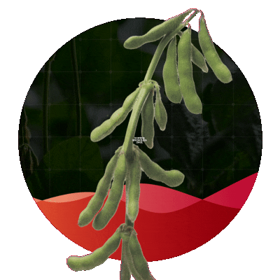 Intacta Sticker by intactarr2pro