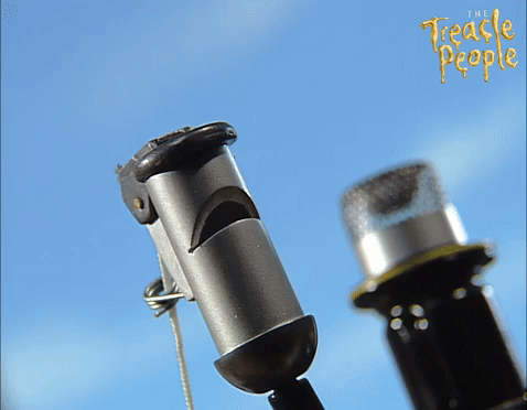Traction Engine Steam Whistle - The Treacle People