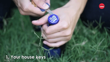 Your House Keys