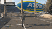 Grand Theft Auto Gta GIF