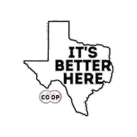 Co-Op Texas Sticker by Producers CoOp